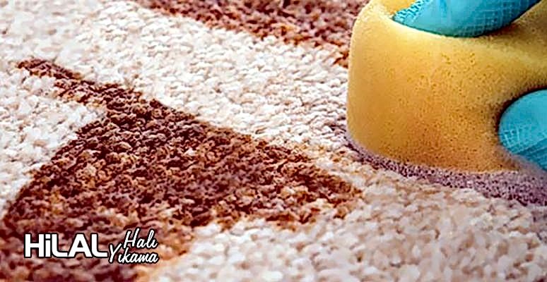 Avcılar Halı Yıkama